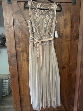 Beaded Illusion Neck Champagne dress NWT